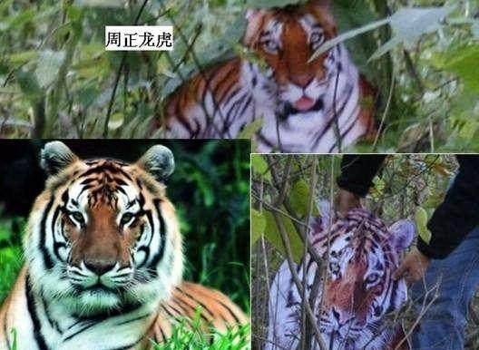 为何说美帝是纸老虎，原来世上真有纸老虎，这个小人物大家都认识