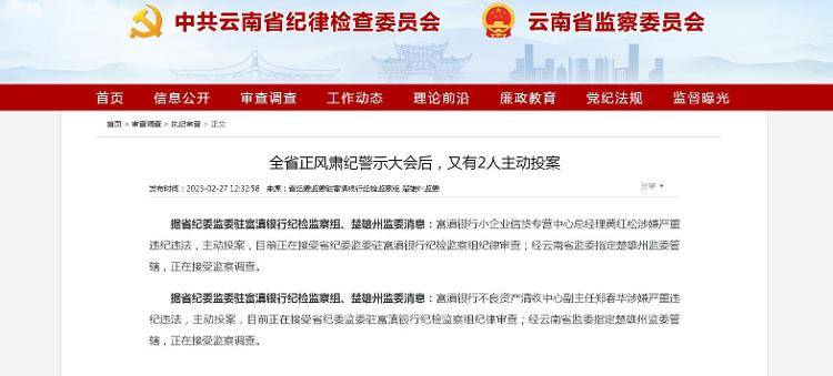 富滇银行反腐持续：又有两人被查，系主动投案