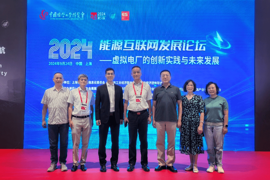 着眼虚拟电厂创新发展 2024能源互联网发展论坛专场对接活动在沪举行