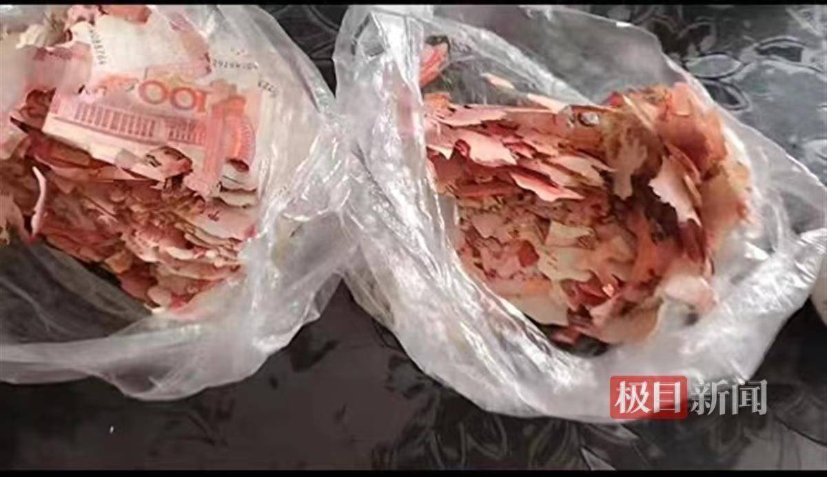 2.5万元积蓄埋在土里打开傻眼了，银行耐心鉴别兑换“虫咬币”