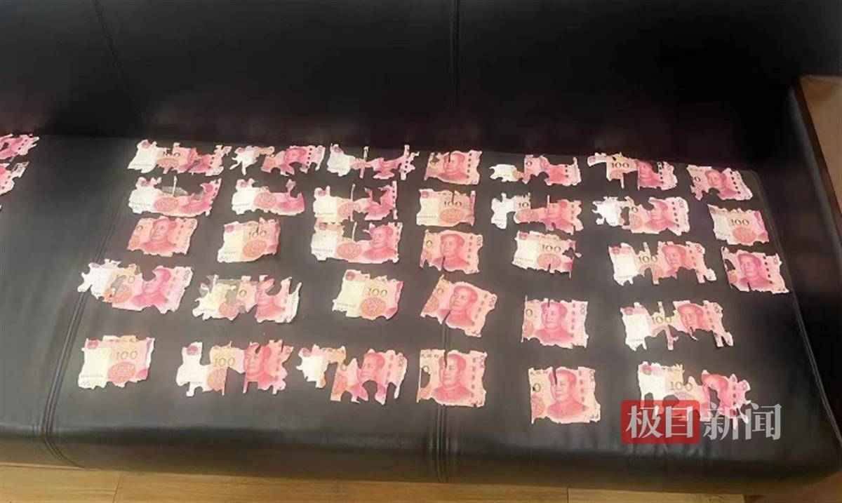 2.5万元积蓄埋在土里打开傻眼了，银行耐心鉴别兑换“虫咬币”