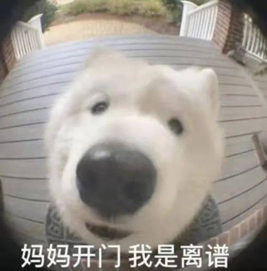 炸裂！粉丝为了给明星站台，竟伪造人民网文章？