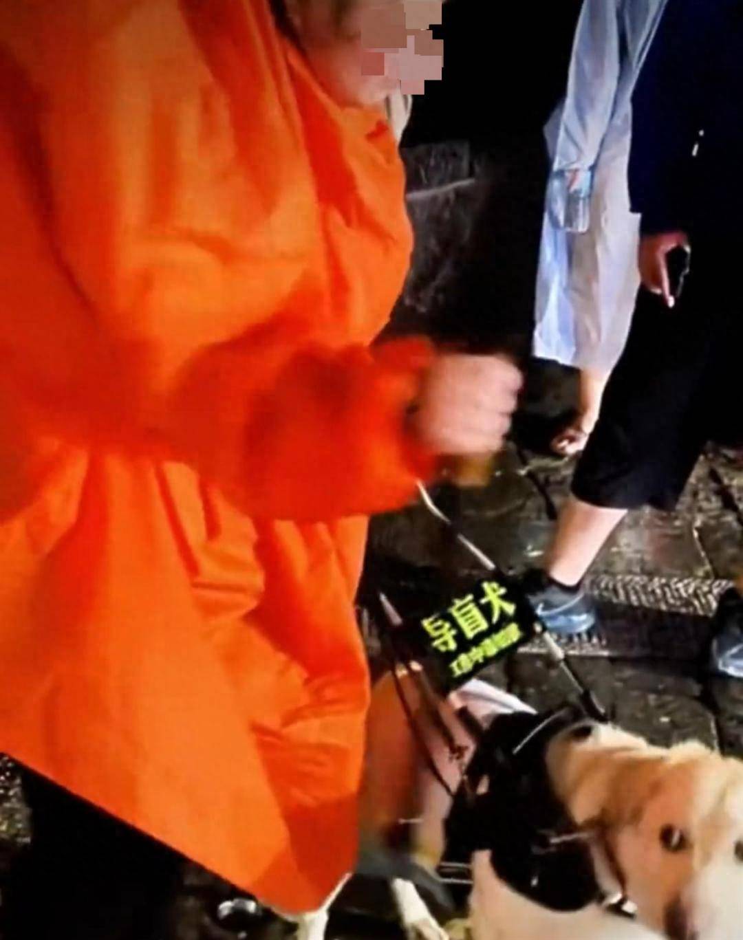 陪盲人夜爬泰山的导盲犬已被接回大连基地,训练有素的导盲犬全国仅400余只,专业人士不建议危险情况下使用