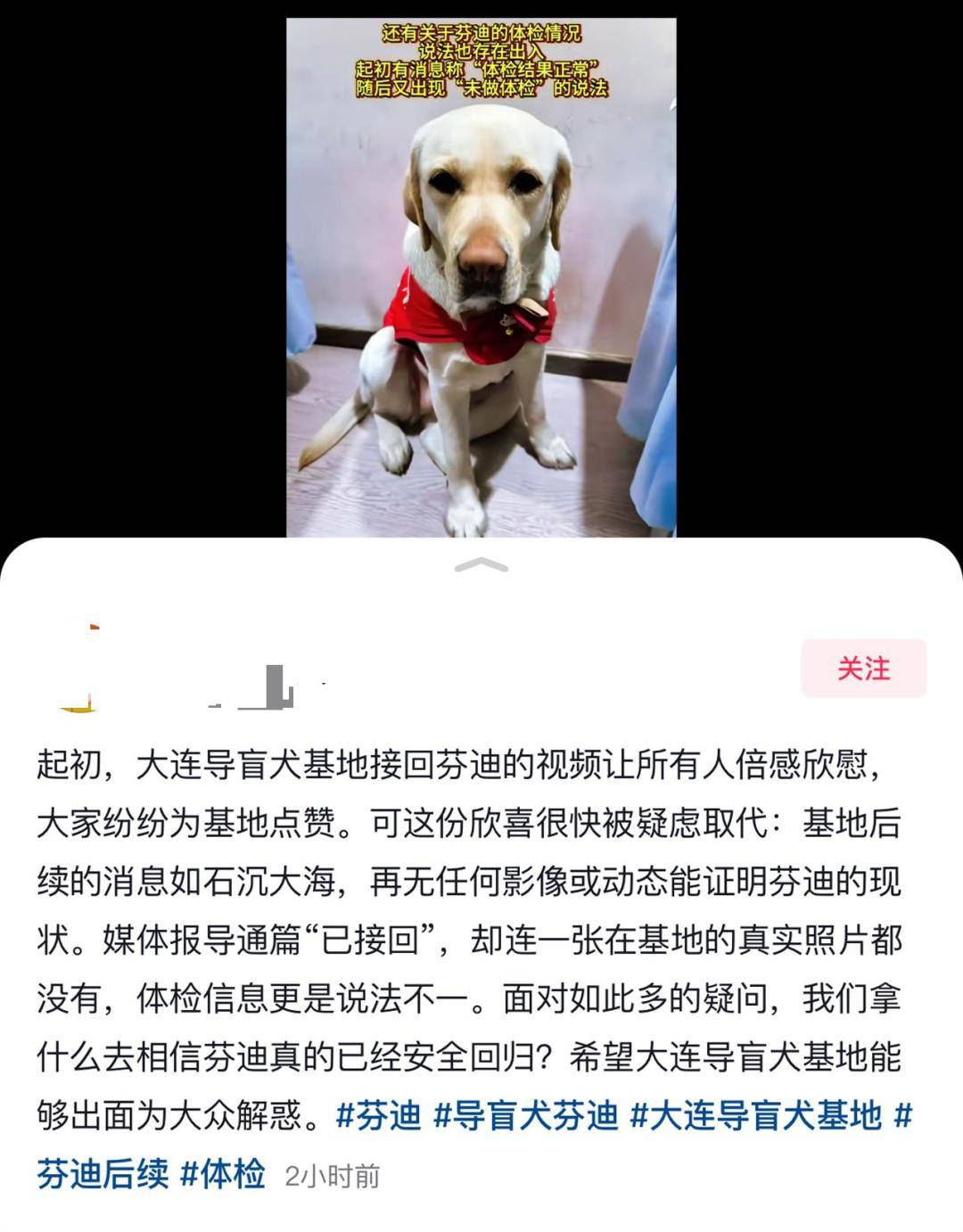 陪盲人夜爬泰山的导盲犬已被接回大连基地,训练有素的导盲犬全国仅400余只,专业人士不建议危险情况下使用