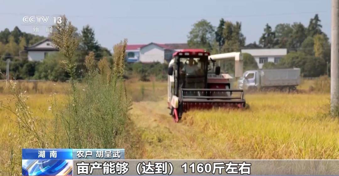 一大批农产品正走向你的餐桌!全国秋粮收获近四成