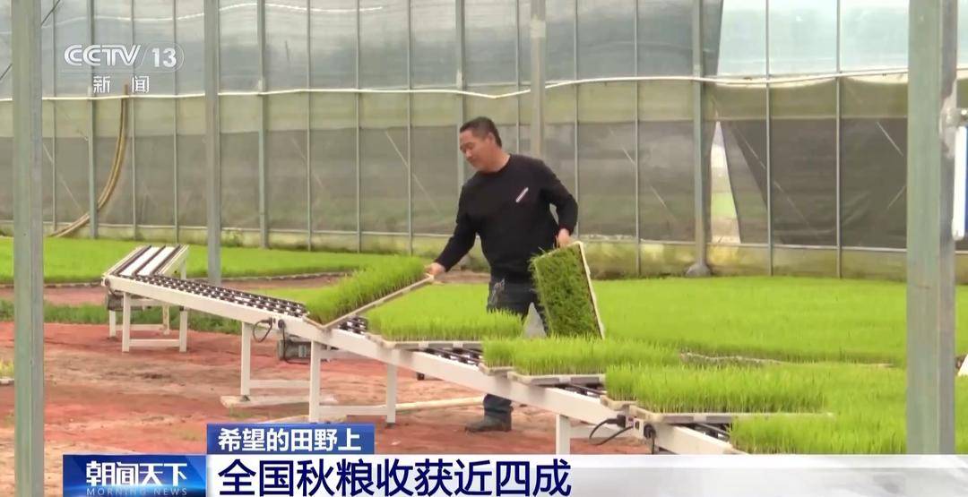 一大批农产品正走向你的餐桌!全国秋粮收获近四成