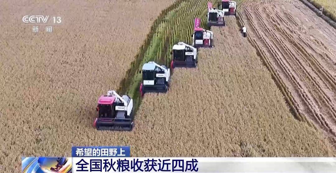 一大批农产品正走向你的餐桌!全国秋粮收获近四成