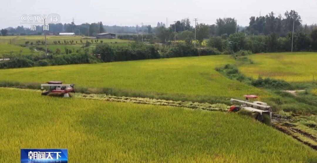 一大批农产品正走向你的餐桌!全国秋粮收获近四成