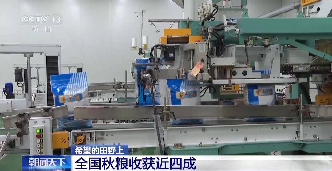 一大批农产品正走向你的餐桌!全国秋粮收获近四成