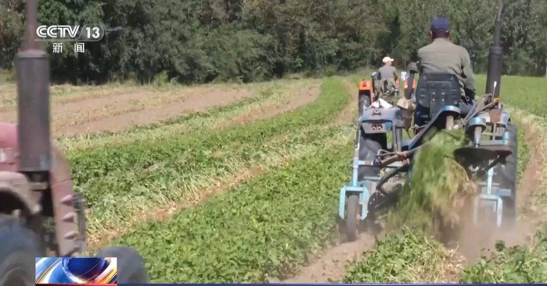 一大批农产品正走向你的餐桌!全国秋粮收获近四成