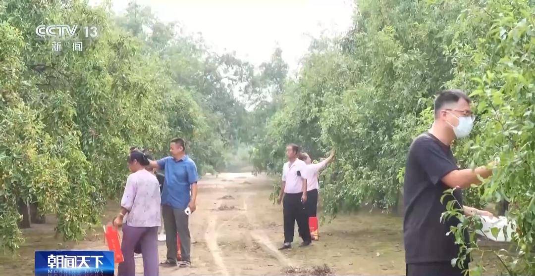 一大批农产品正走向你的餐桌!全国秋粮收获近四成