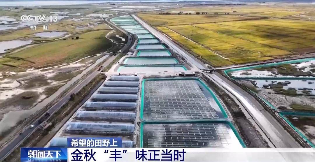 一大批农产品正走向你的餐桌!全国秋粮收获近四成