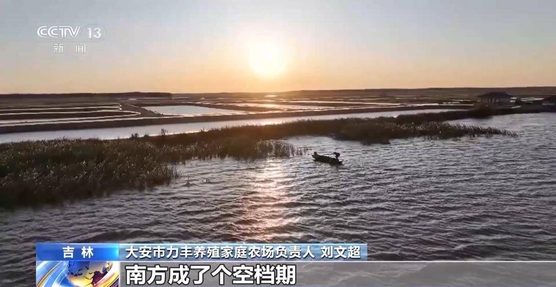 一大批农产品正走向你的餐桌!全国秋粮收获近四成