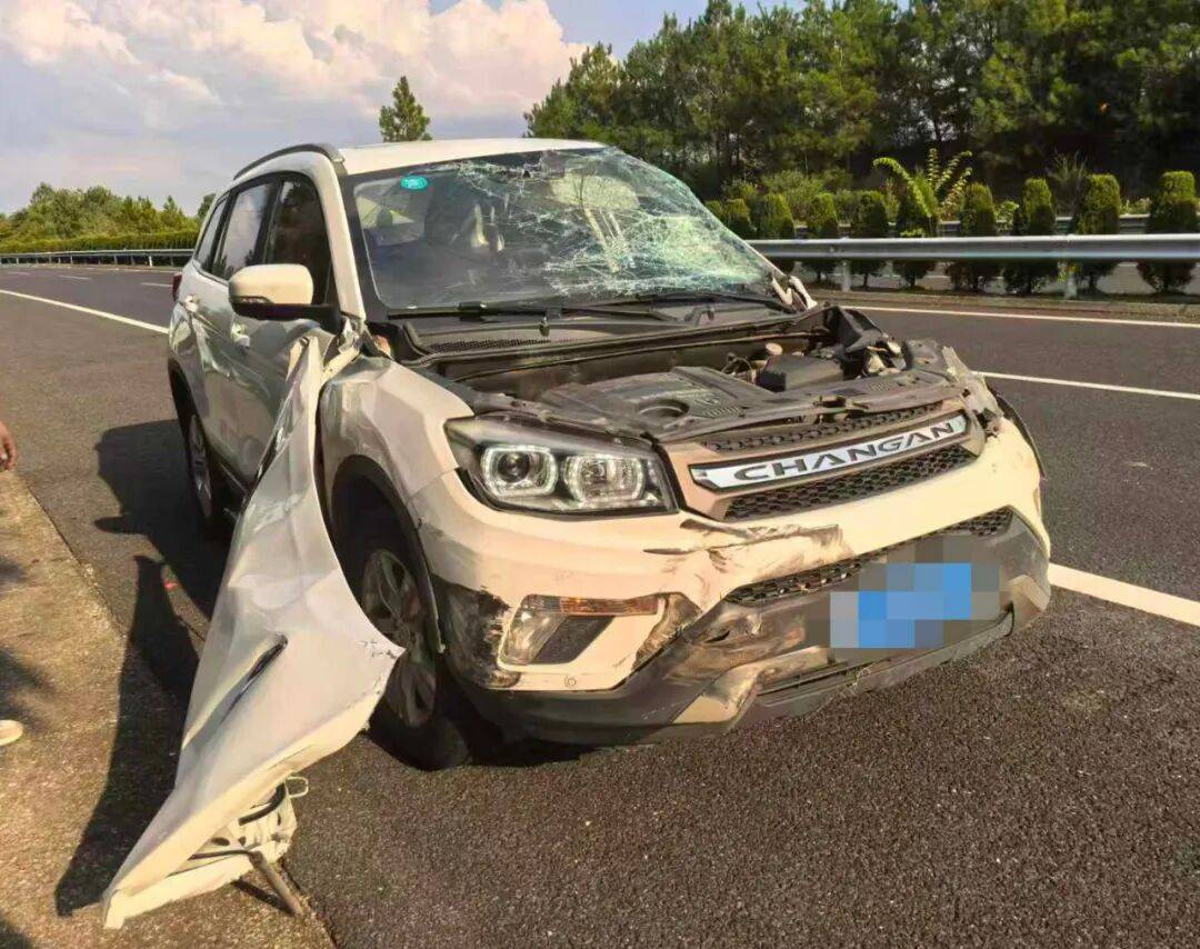 “我撒谎天打雷劈!”男子高速突然强行变道致翻车,反诬赖对方