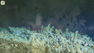 海底采火你见过吗?这场“源火”采集里藏着中国人的极致浪漫