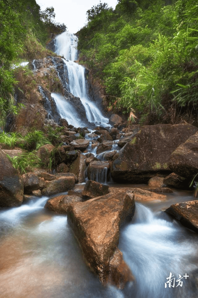 镇街周报|佛山“双节”文旅成绩单出炉,谁最吸睛
