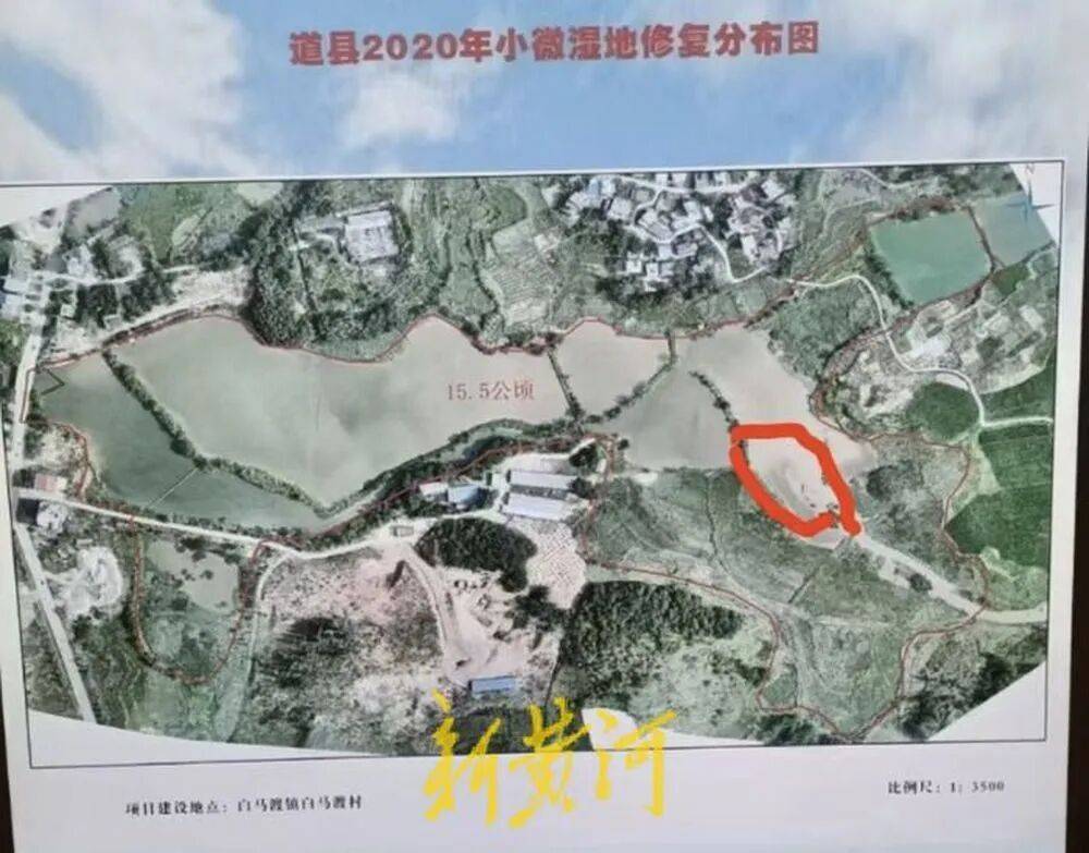 65岁农妇荒塘养鱼被判“非法占用农地”:羁押10月后免刑,仍喊“我没罪”