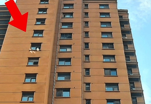 江苏徐州一小区有人频繁高空抛物,警方通过被扔快递盒上信息寻找肇事业主,记者联系物业公司,回应来了