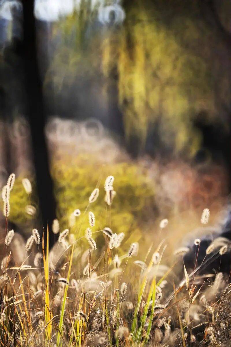 12时3分,临海正式进入……