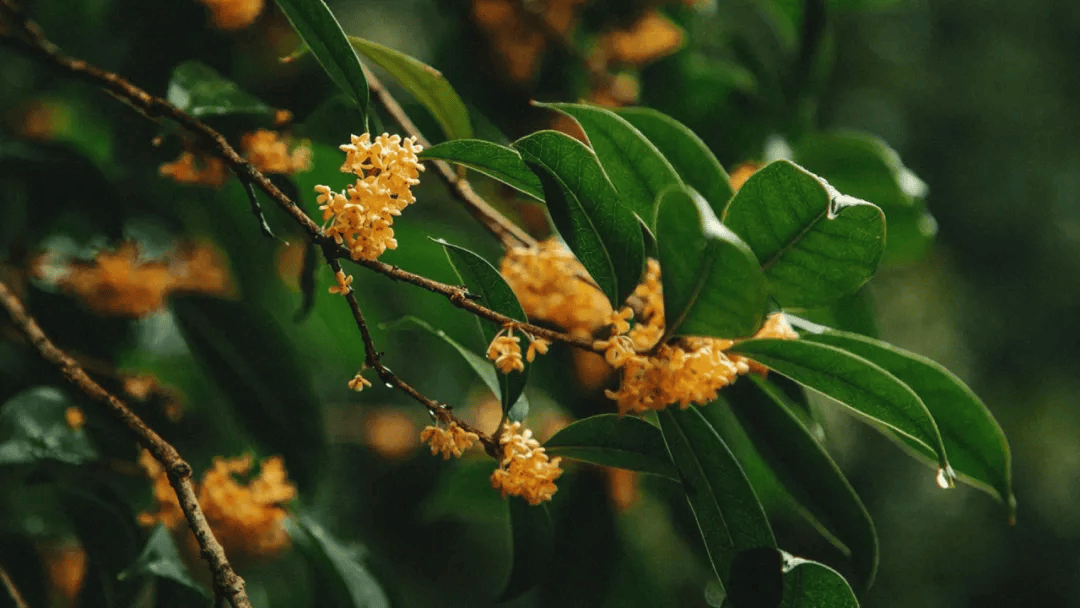 12时3分,临海正式进入……