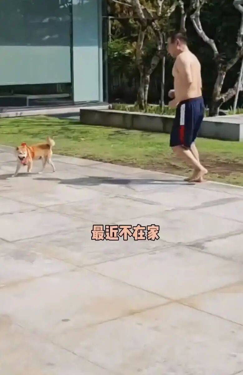 考古|李连杰晒游泳照状态重返巅峰!武打多年受伤频繁又患甲亢,功夫皇帝一路走来太不易