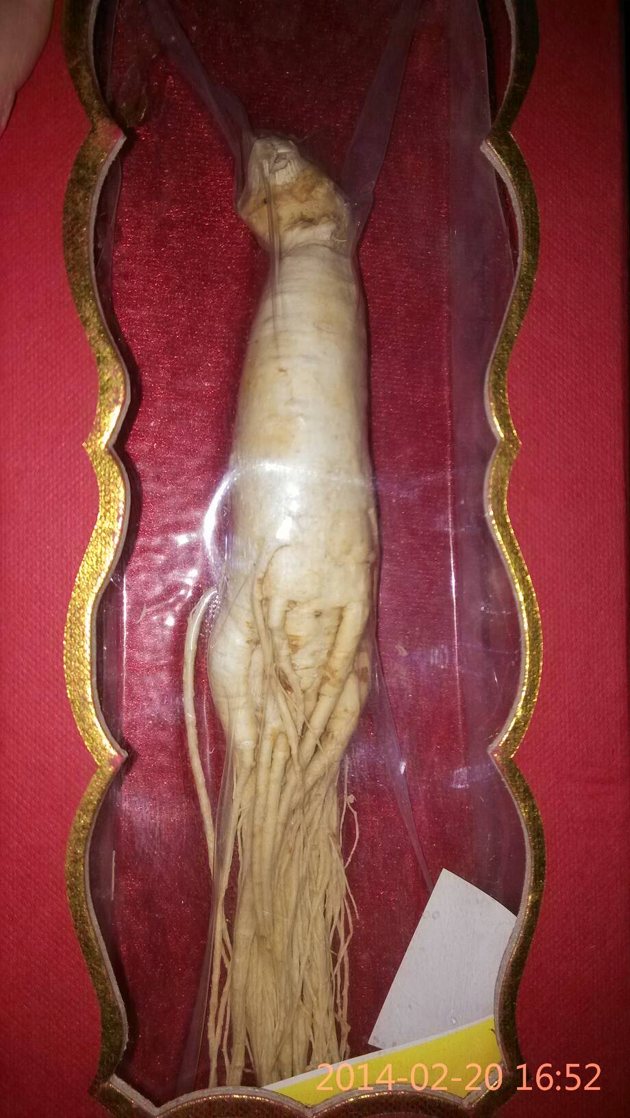 人参原油(人参油价格)