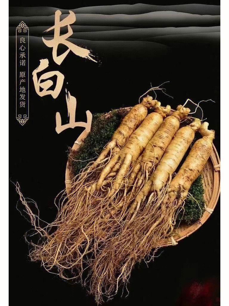 人参原油(人参油价格)