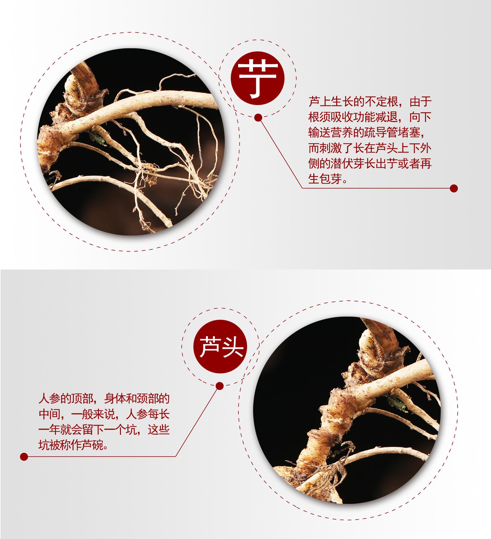 人参原油(人参原浆哪里能买到正品)