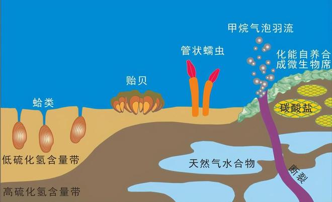 分解原油(原油分离出几种油)