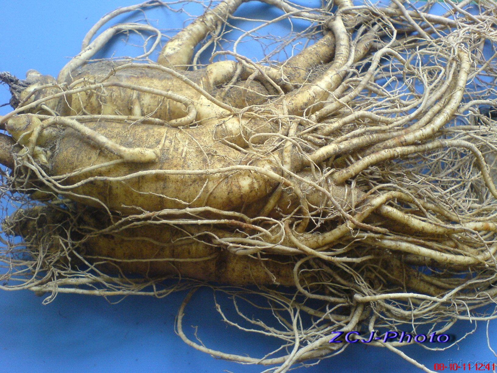 人参原油(人参原液的功效与作用点)