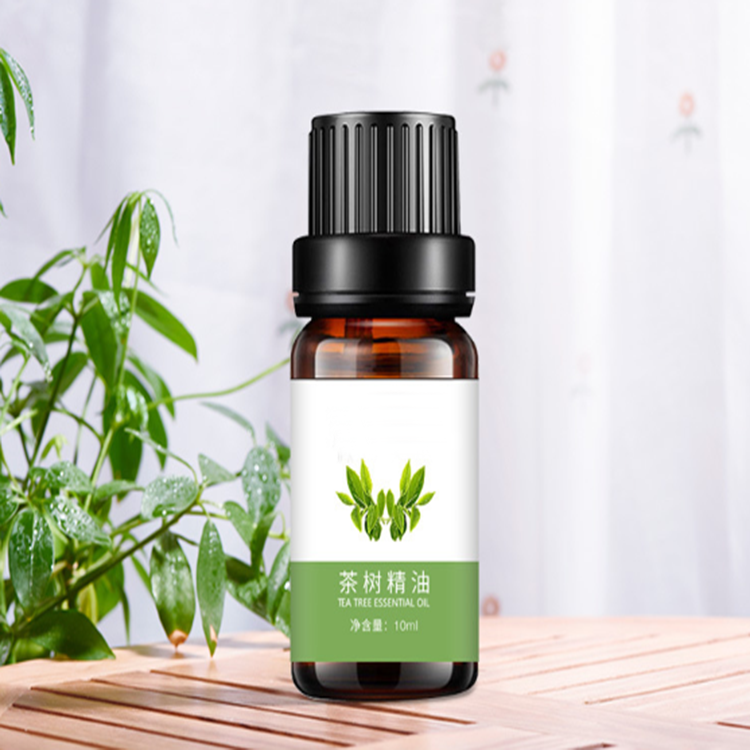 茶树原油(正宗茶树油多少钱一斤)
