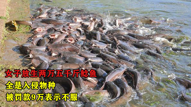 原油鲶(元佑年号)