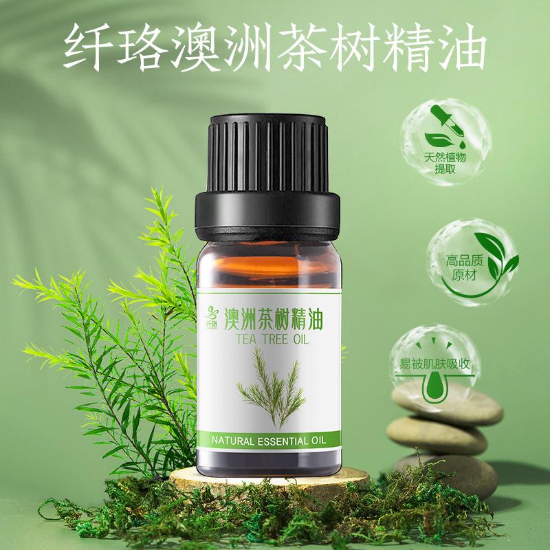 茶树原油(茶树油原液的功效与作用)