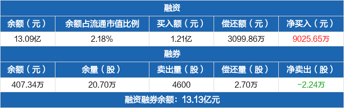 新和软件(新和股份有限公司)